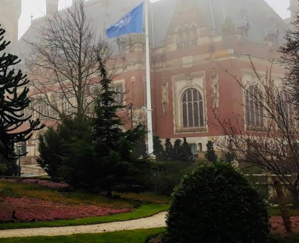 Het Vredespaleis in Den Haag, gehuld in mist. Bomen met roze bloesem belemmeren deels het zicht.