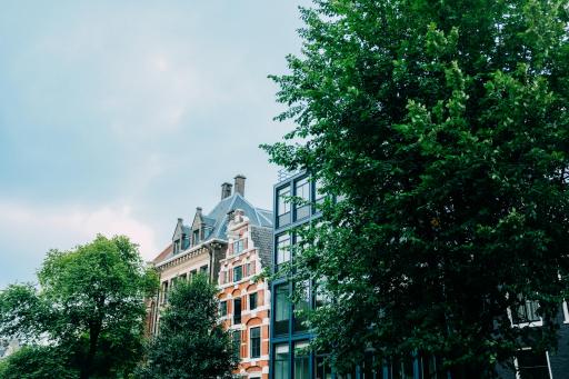 The tops of Dutch residential buildings through the trees.