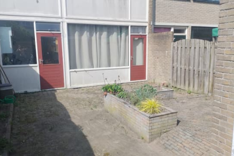 house image