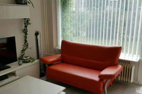 house image