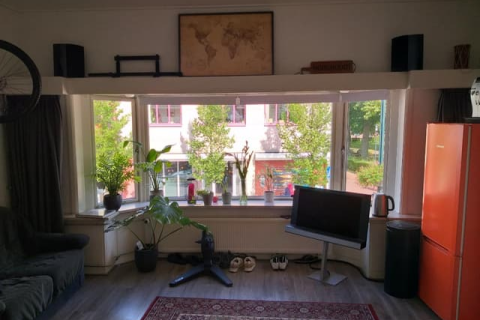 house image