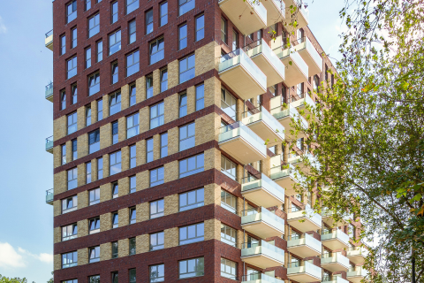 house image