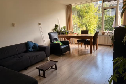 house image