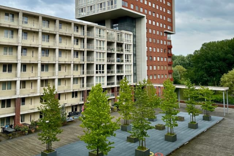 house image