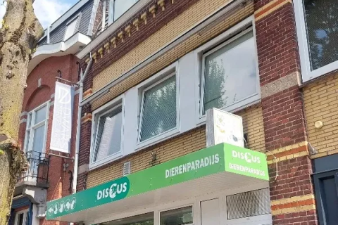 house image
