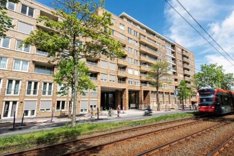 house image