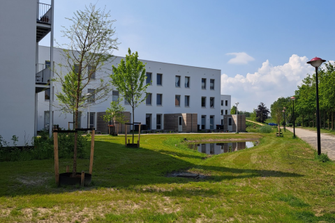 house image