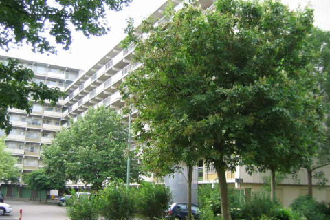 house image