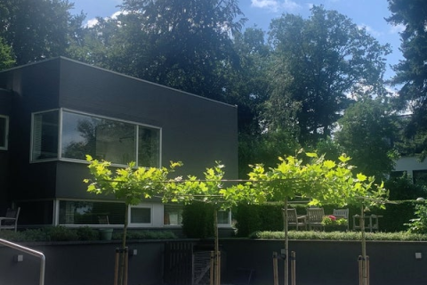 house image