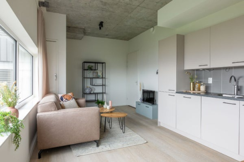 house image