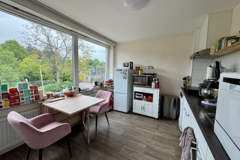 house image