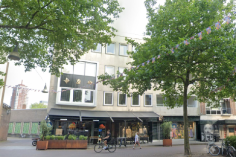 house image