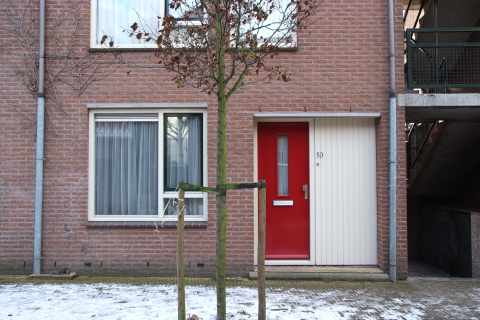 house image