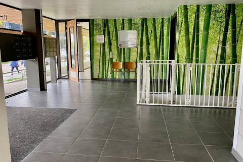 house image