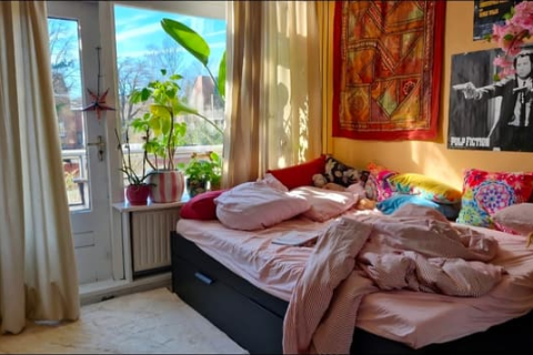 house image