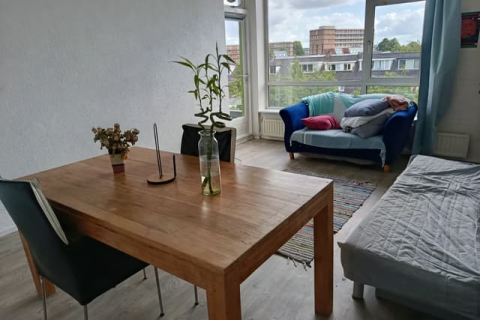 house image