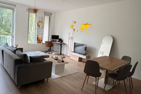 house image