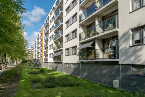 house image