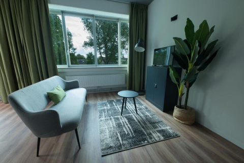 house image