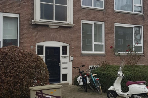 house image