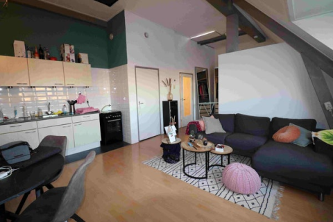 house image