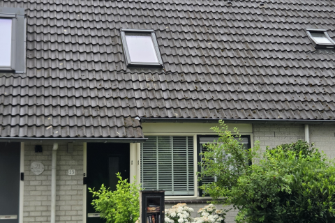 house image