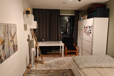 house image