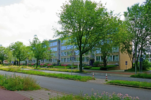 house image