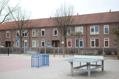 house image