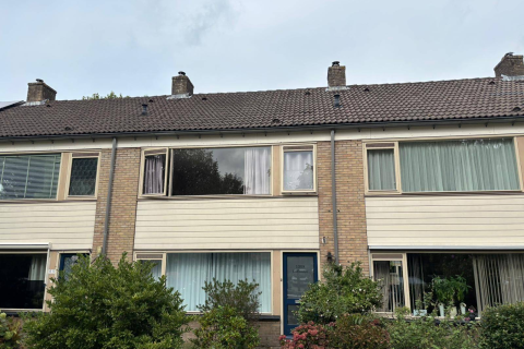 house image
