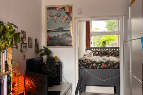 house image