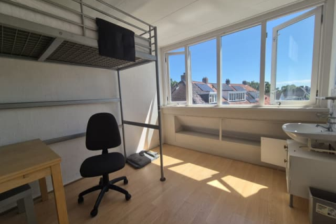house image