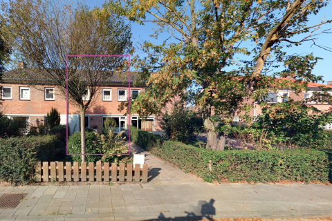 house image