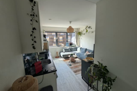 house image