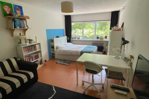 house image