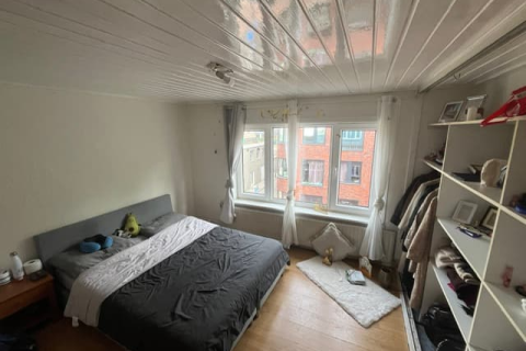 house image