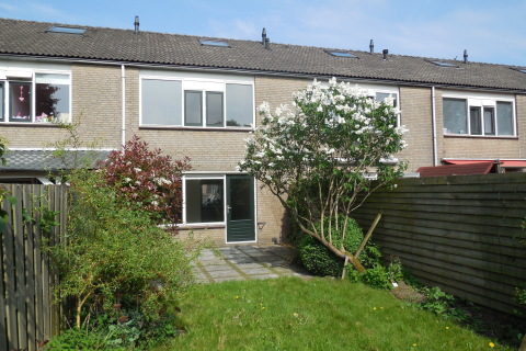 house image