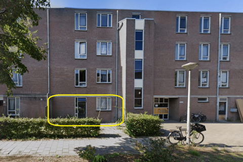 house image