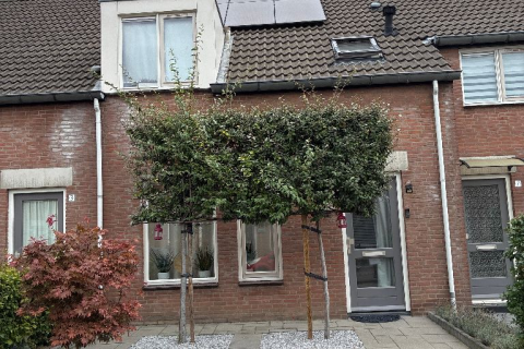 house image