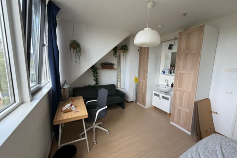 house image