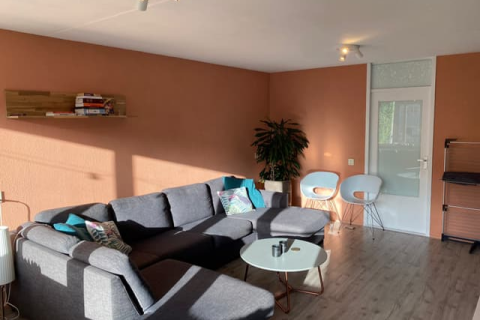 house image