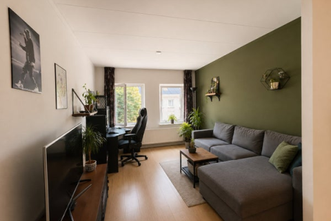 house image