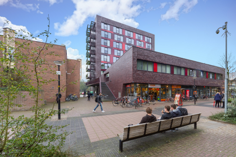 house image