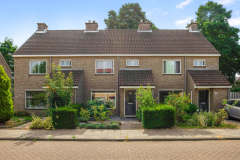 house image