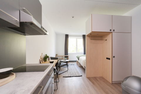 house image