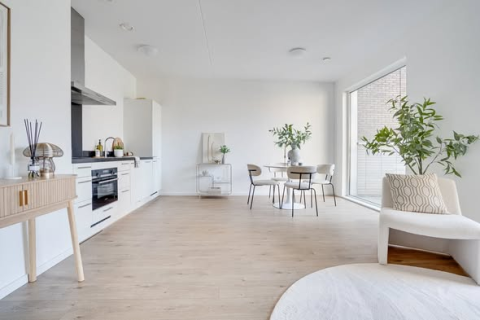 house image