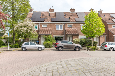 house image