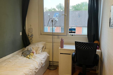 house image
