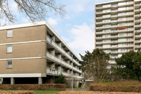 house image