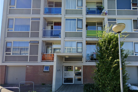 house image